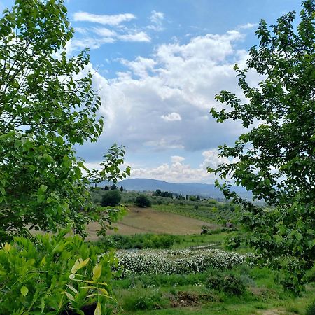 Agriturismo Fattoria Di Maiano Fiesole Kültér fotó