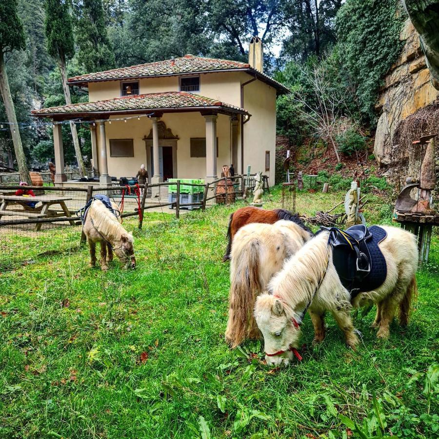 Agriturismo Fattoria Di Maiano Fiesole Kültér fotó