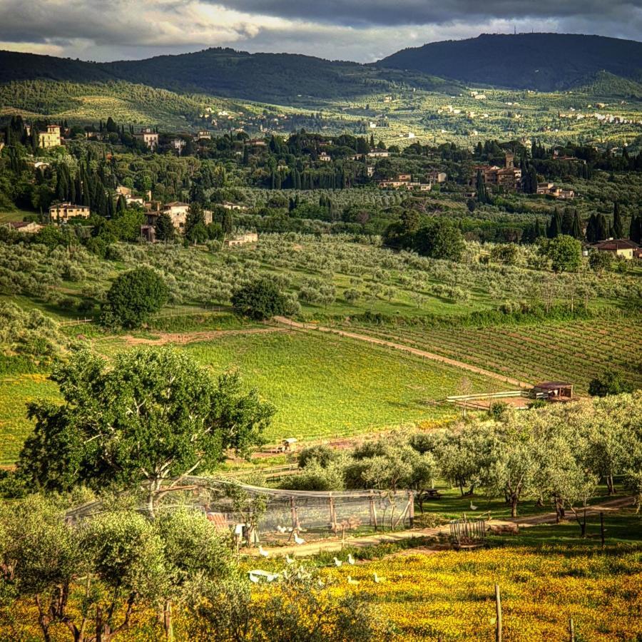Agriturismo Fattoria Di Maiano Fiesole Kültér fotó