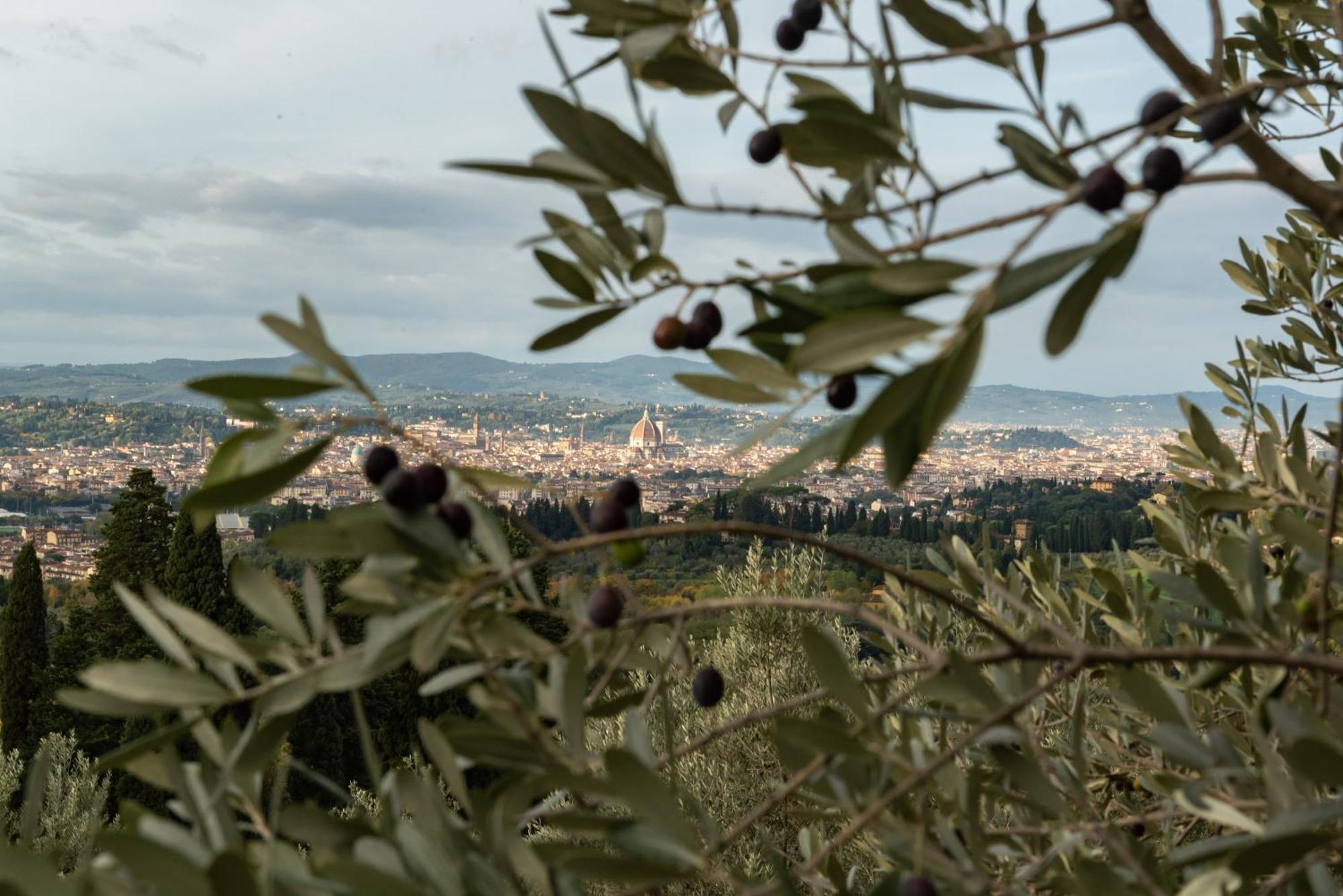 Agriturismo Fattoria Di Maiano Fiesole Kültér fotó