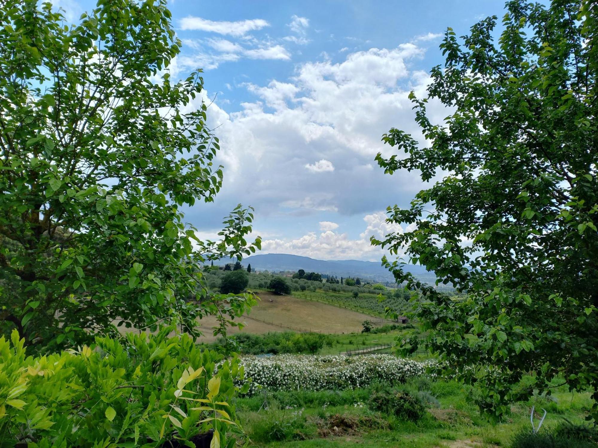 Agriturismo Fattoria Di Maiano Fiesole Kültér fotó