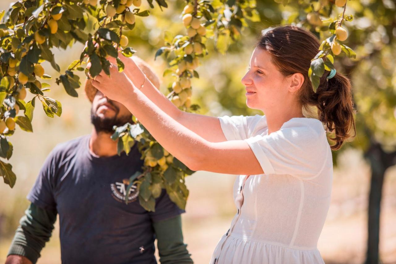 Agriturismo Fattoria Di Maiano Fiesole Kültér fotó